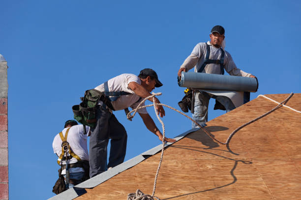 Best Roof Repair Services  in Logan, WV