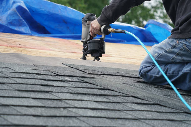 Best Roof Maintenance Services  in Logan, WV