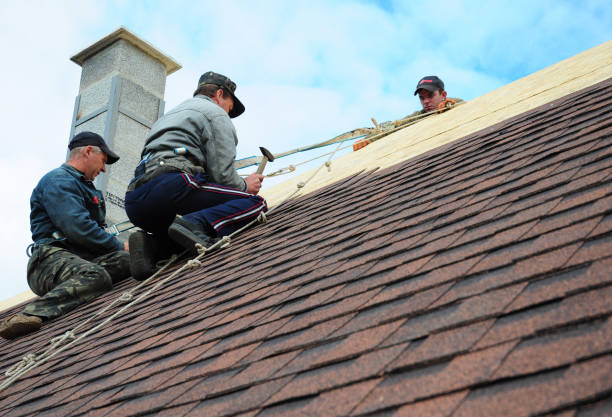 Best Metal Roofing Contractor  in Logan, WV